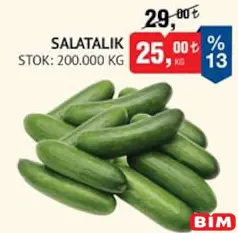 SALATALIK KG